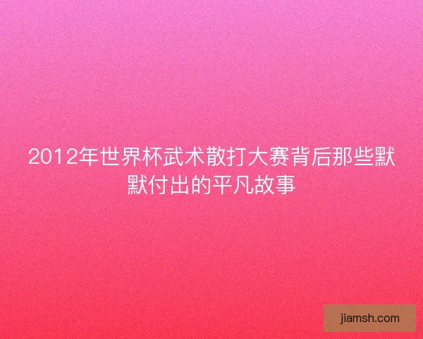 2012年世界杯武术散打大赛背后那些默默付出的平凡故事