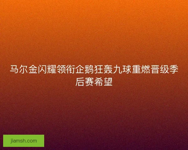 马尔金闪耀领衔企鹅狂轰九球重燃晋级季后赛希望